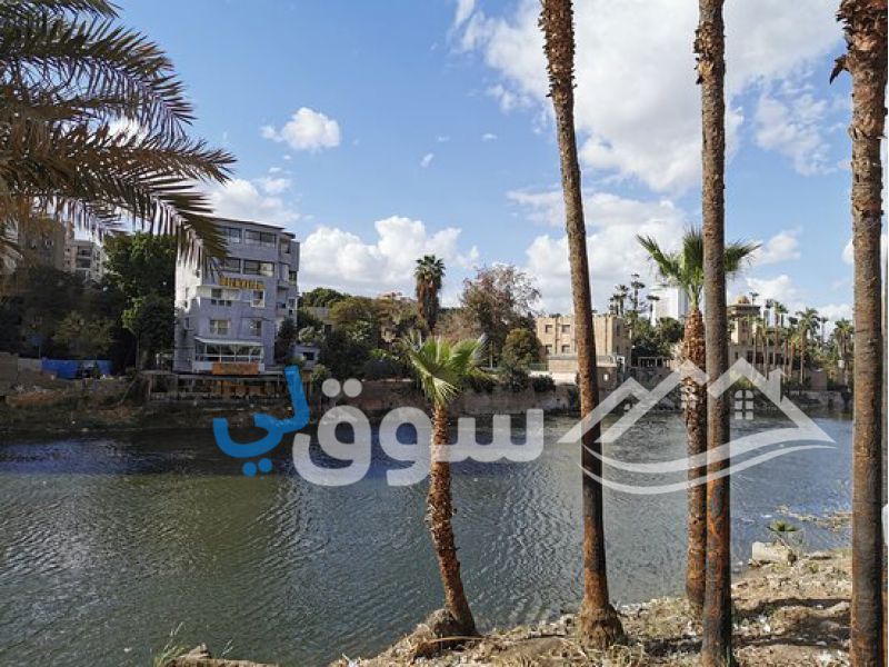 شقة في مدينة نصر